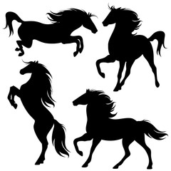 Fototapeta na wymiar horse silhouette set - black and white vector design