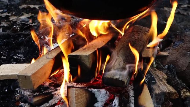 Burning wood in the fire. Bonfire