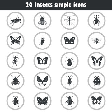 Different insects icons set for web and mobile design