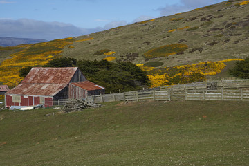 Farm buildings at Carcass Island Settlement in the Falkland Islands.