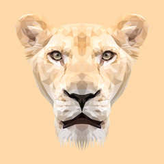 Lioness animal low poly design. Triangle vector illustration.