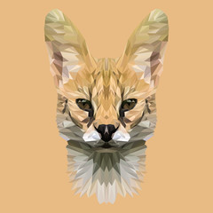 Wild cat lynx low poly design. Triangle vector illustration.