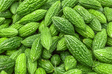 Close up of fresh bitter gourd fruit