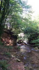 tratto di fiume con ponticello