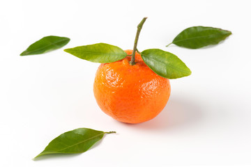 tangerine with leaves