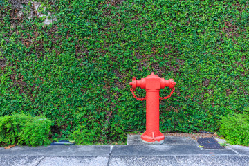 Red fire water supply  and with green tree wall