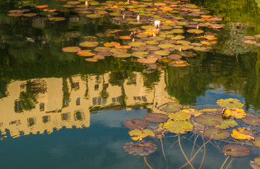 Giardini di Castel Trauttmanssdorff, Merano, Alto Adige, Italia. Scorcio del famoso giardino botanico dove 80 ambienti botanici prosperano e fioriscono piante da tutto il mondo.