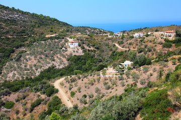 Fototapeta na wymiar Alonissos landscape