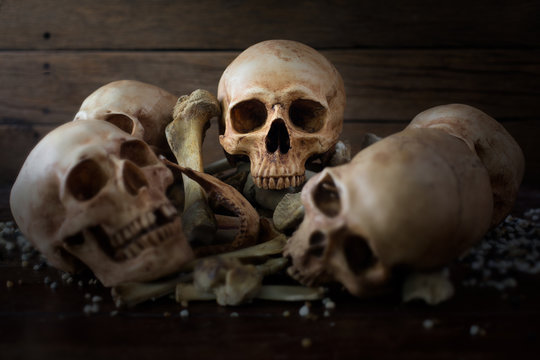 Pile of Skull and Bone on wooden table with pebble