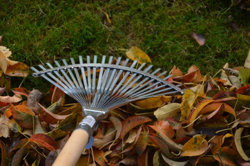 Herbst