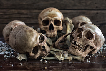 Pile of Skull and Bone on wooden table with pebble .