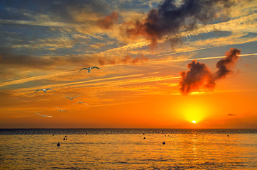 Soleil d'&eacute;t&eacute;