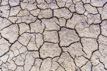 Cracked soil surface in dry season, brown tone texture background
