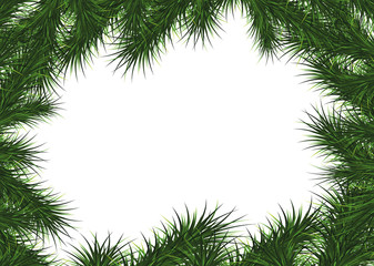 Christmas frame from Christmas tree branches