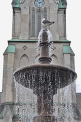 The cathedral or Domkirken in Kristiansand, Norway, Europe. In front of the church a water fountain with a pigeon sitting on its top.