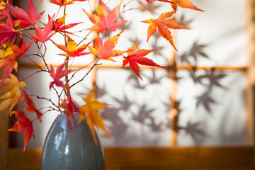 Japanischer Ahornzweig vor Shoji