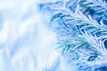 Christmas background with snow and firtree