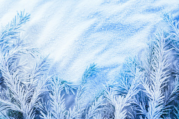 Christmas background with snow and firtree