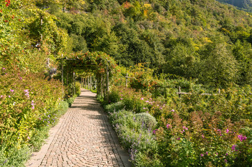 Giardini di Castel Trauttmanssdorff, Merano, Alto Adige, Italia. Scorcio del famoso giardino botanico dove 80 ambienti botanici prosperano e fioriscono piante da tutto il mondo