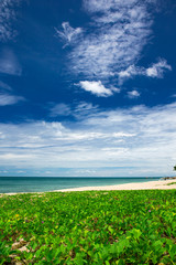 beach and beautiful tropical sea