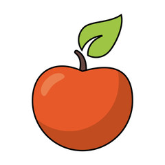 Apple fruit icon. Healthy organic and fresh food theme. Isolated design. Vector illustration
