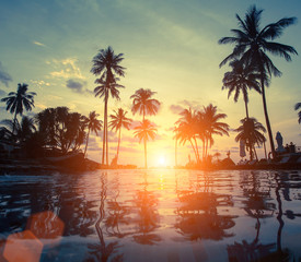 Plakat Amazing sunset on sea beach with palm tree.