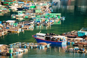 Zelfklevend Fotobehang Fish farming rafts in the bay of Sok Kwu Wan fisherfolks village viewed from the observation deck of the Family Walk trail on Lamma Island, Hong Kong © Wilding