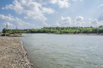 Fototapeta premium the river and forest