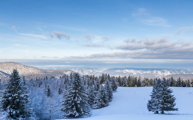 neige dans les Vosges