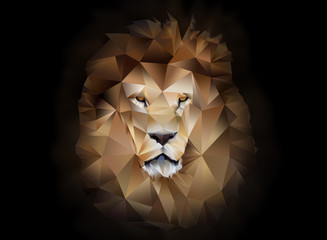 Lion polygon geometric