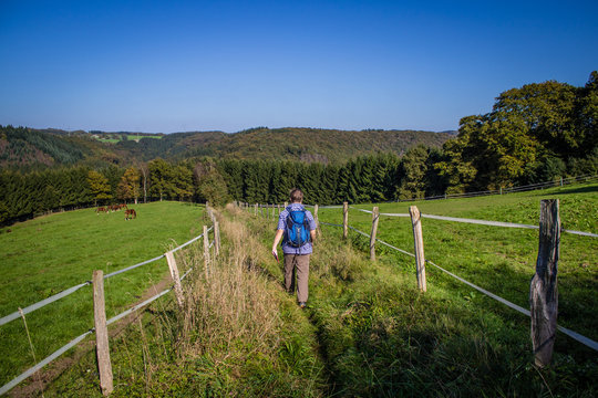 hiker with bagpack following meadow path