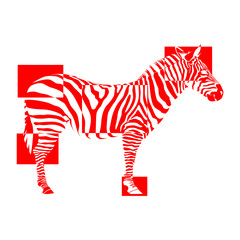 The red zebra in negative rectangles on white background