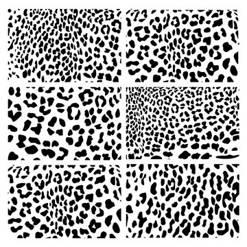 The set of skin texture of leopard