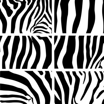 The set of skin texture of zebra  