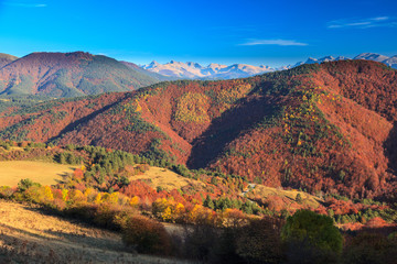 autumn colors