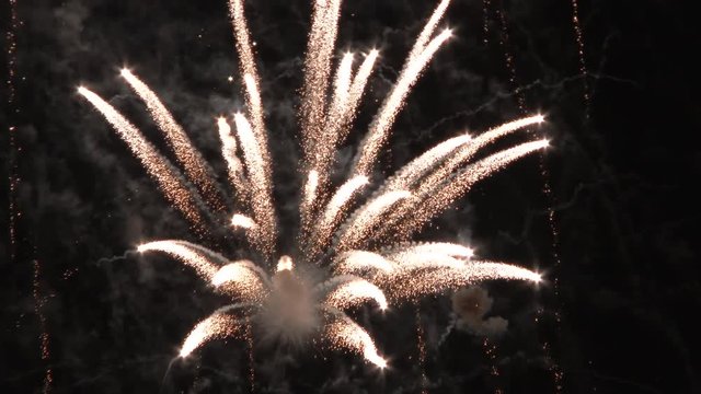 Close up of fireworks exploding against the night sky.