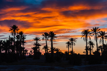 Obraz premium Sonnenuntergang in einer Oase der Sahara bei Merzouga (Erg Chebbi); Marokko