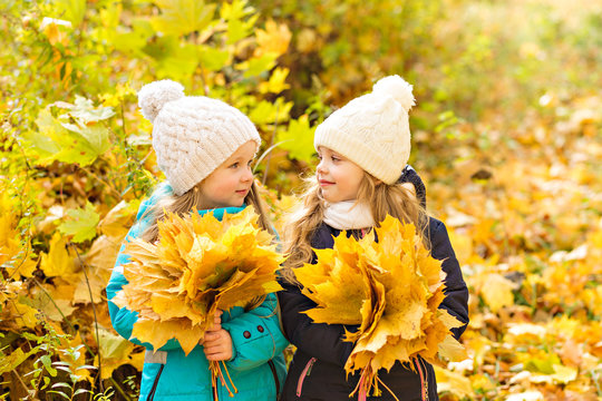 Two lovely girlfriends in autumn park