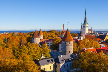 Old City Town Tallinn in Estonia. Sunny autumn day with gold leaves on the trees.