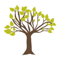 Fototapeta premium tree abstract icon image vector illustration design 