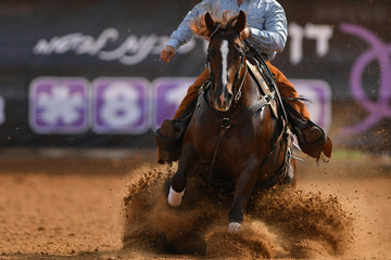 The front view of a rider in cowboy chaps and boots on a horseback running ahead and sliding the horse in the dirt
