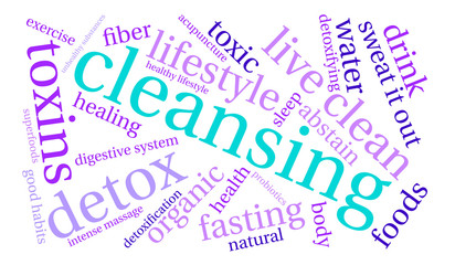 Fototapeta premium Cleansing Word Cloud