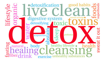 Fototapeta premium Detox Word Cloud