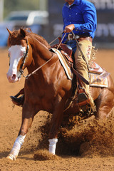 The side view of a rider in cowboy chaps and boots on a horseback running ahead and sliding the horse in the dirt