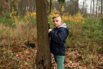Śliczny chłopiec oparty o drzewo w lesie. - obrazy, fototapety, plakaty