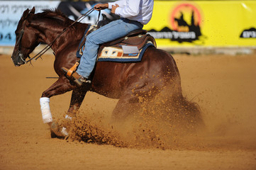 Obraz premium The side view of a rider in cowboy chaps and boots on a horseback running ahead and sliding the horse in the dirt