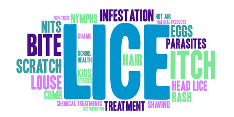 Fototapeta premium Lice Word Cloud on a white background. 