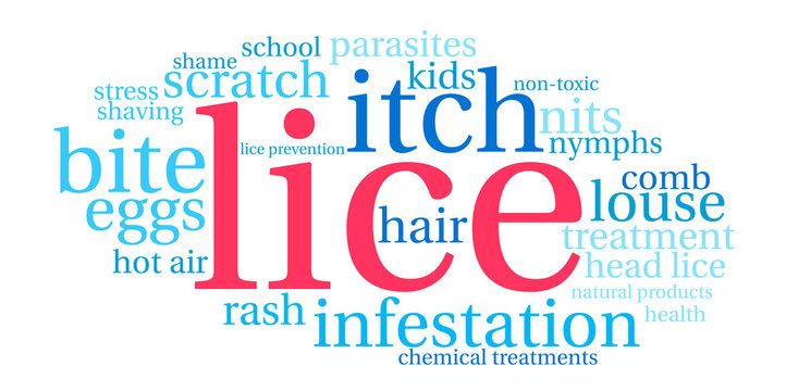 Lice Word Cloud on a white background. 