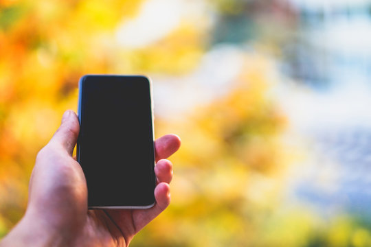 Cropped shot view of man's hand holding smart phone with fall background