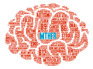 Fototapeta na wymiar MTHFR Brain Word Cloud